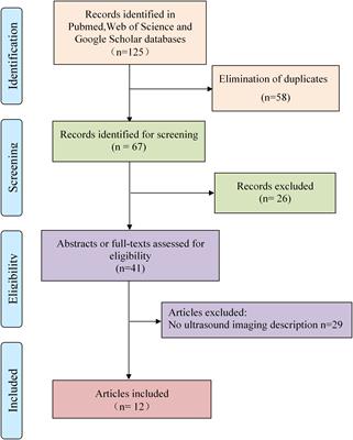 Ultrasonographic manifestations and the effective diagnosis of epididymal leiomyosarcoma: Case report and systematic literature review